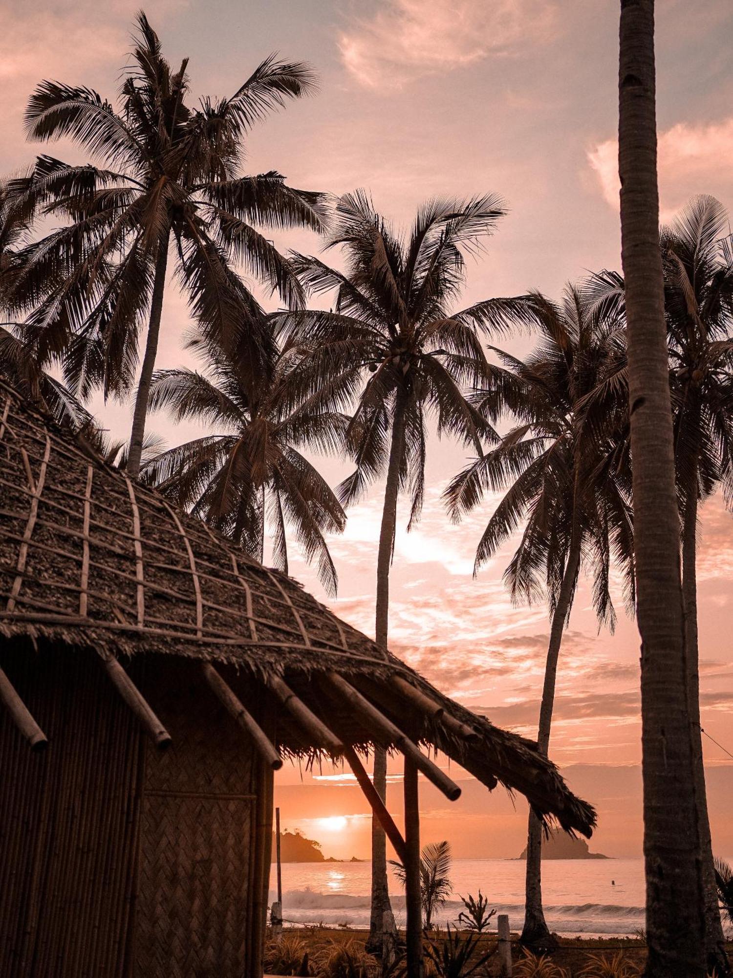 Eco Sanctuaries Nature Lodge Nacpan Beach, El Nido Zewnętrze zdjęcie